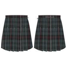 Girls Pleat Skirt ( For Secondary )